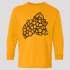 (5400b) Heavy Cotton Youth Long Sleeve T-Shirt Thumbnail