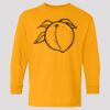 (5400b) Heavy Cotton Youth Long Sleeve T-Shirt Thumbnail