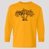 (5400b) Heavy Cotton Youth Long Sleeve T-Shirt Thumbnail